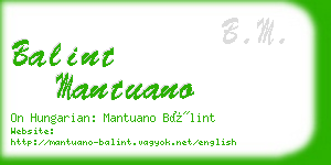 balint mantuano business card